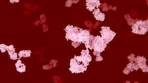 Image: Antibodies in the blood