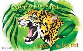 Wear a jimmy hat... save the big cat. JAGUAR: The largest cat in North America, the jaguar formerly roamed the borderlands of California, Arizona, New Mexico, and Texas. It disappeared as human settlements spread further and further into its wilderness habitat. The U.S. population was put on the endangered species list in 1997.