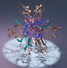 artistic rendering of the  C1 domain with ligands. There are tiny turquoise, blue, and red beads weaved in on strands of copper colored bands.