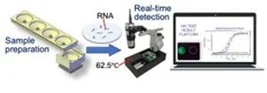 Credit: Microsystems & Nanoengineering