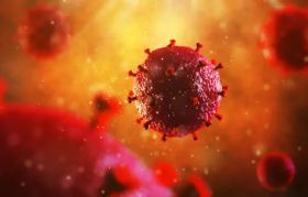 HIV Cell
