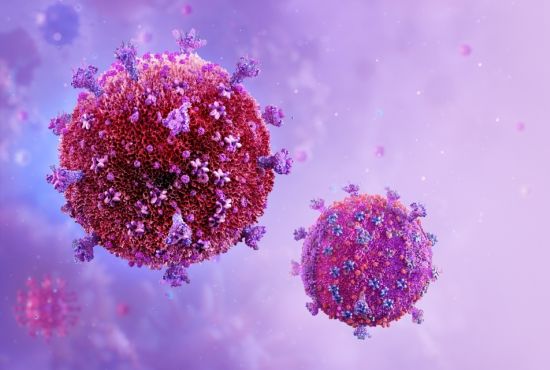 Weill Cornell Medicine researchers have developed an experimental vaccine to protect against human immunodeficiency virus (HIV) infection based on “spike” proteins (shown in purple) on the surface of the virus. Credit: Shutterstock