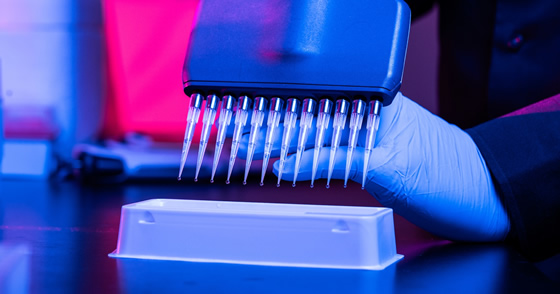 Cells in preparation for analysis by washing and staining with fluorescent markers. (Purdue Agricultural Communications Photos/Joshua Clark)